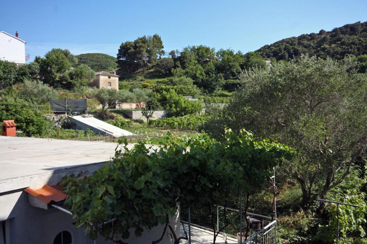 Family Friendly Apartments With A Swimming Pool Supetarska Draga - Donja, Rab - 2019 Luaran gambar